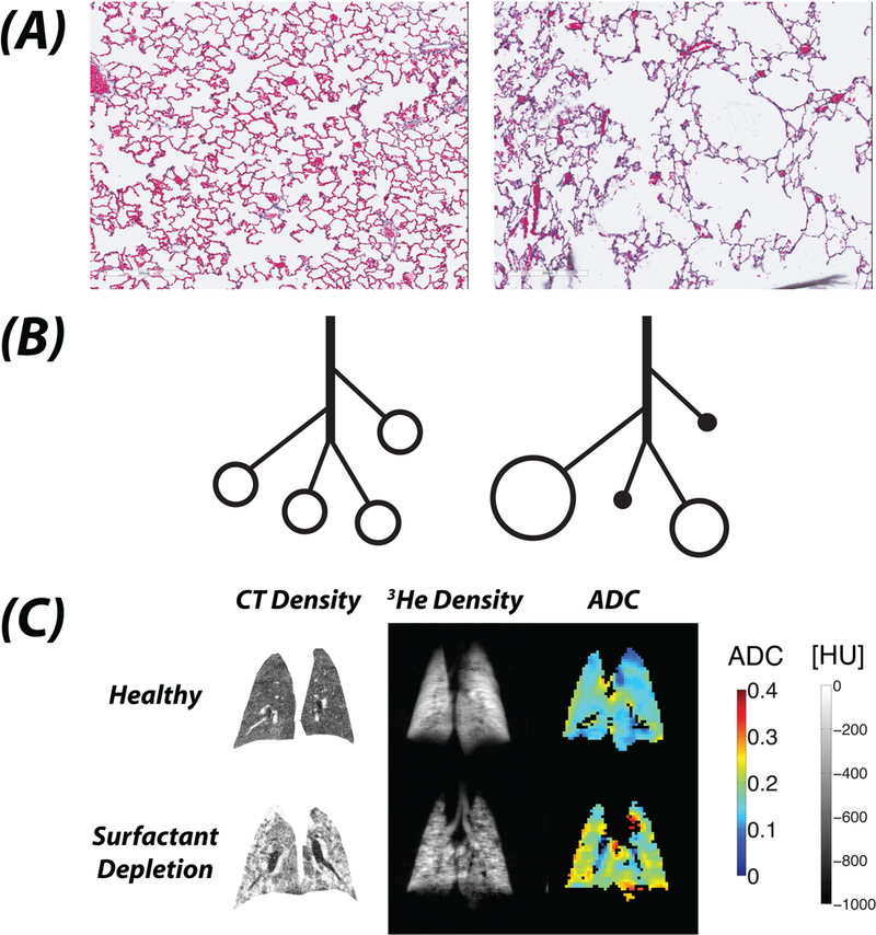 Figure 10: