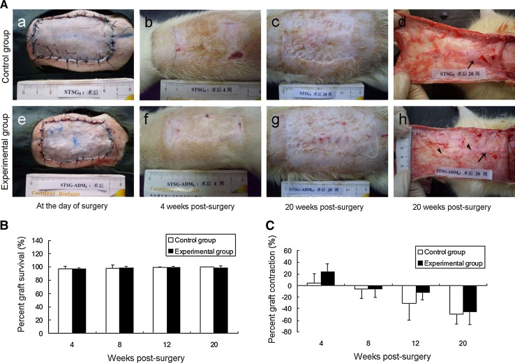 Fig. 4