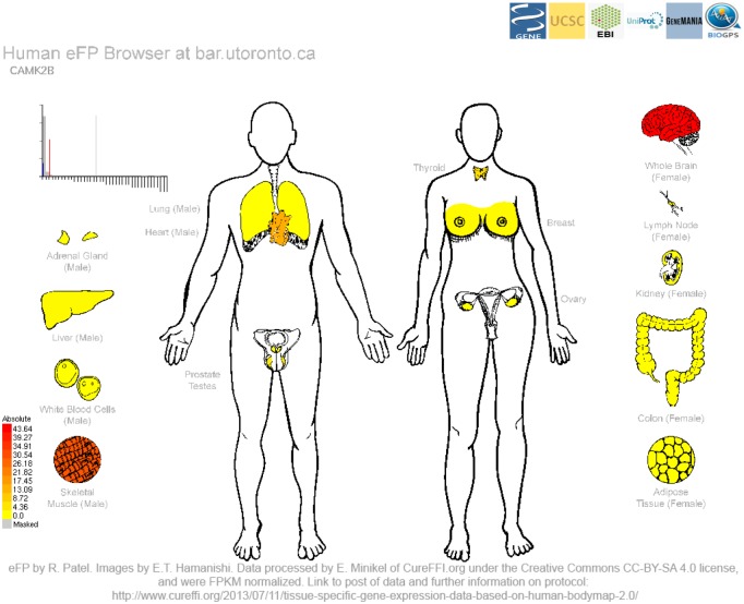 Fig 3