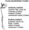 Figure 1 (1 column):