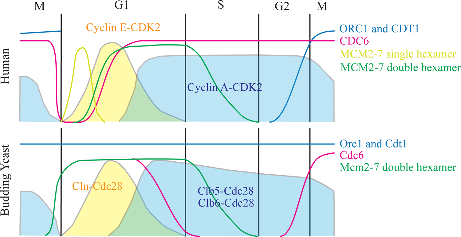 Figure 3 |