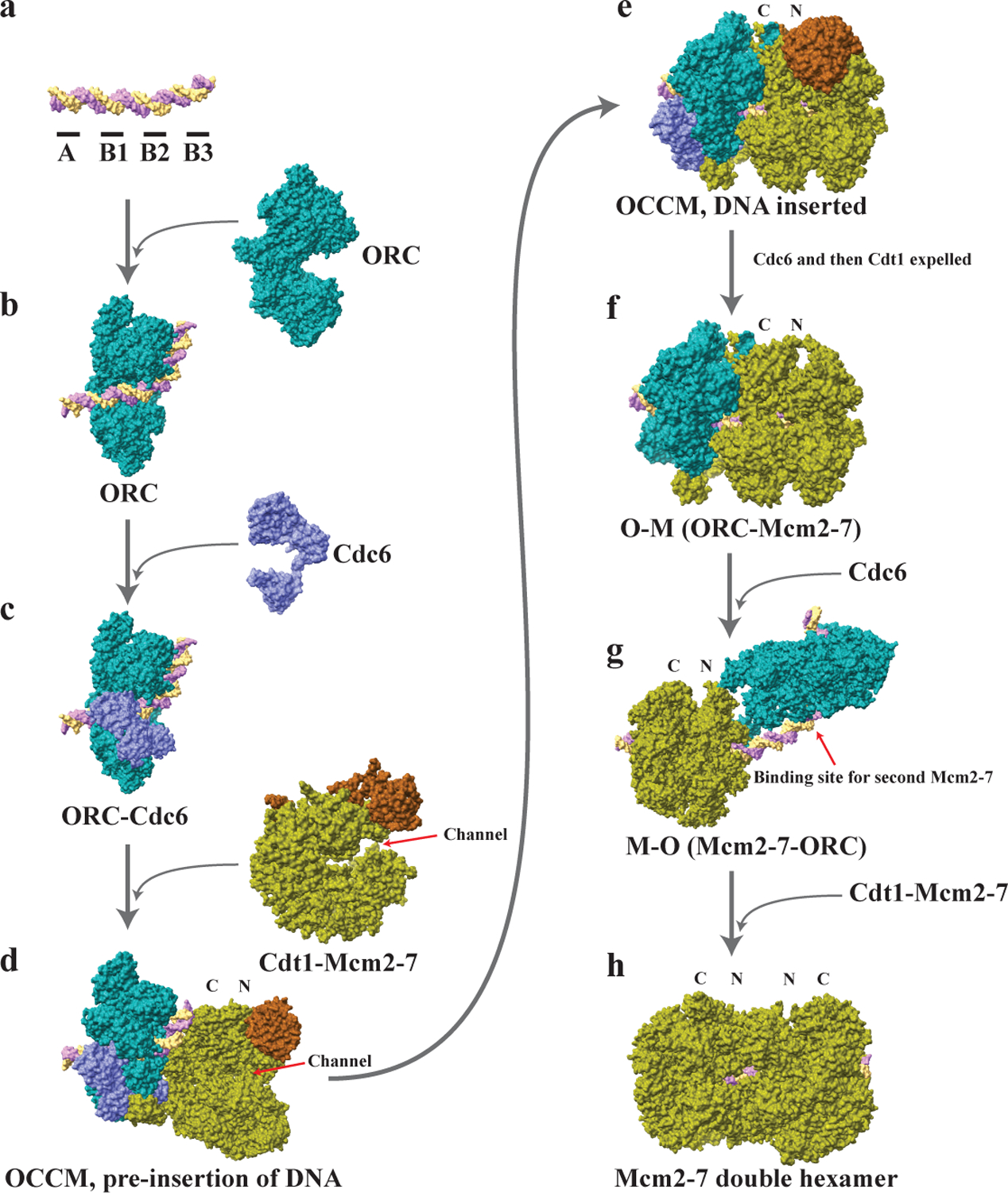 Figure 2 |