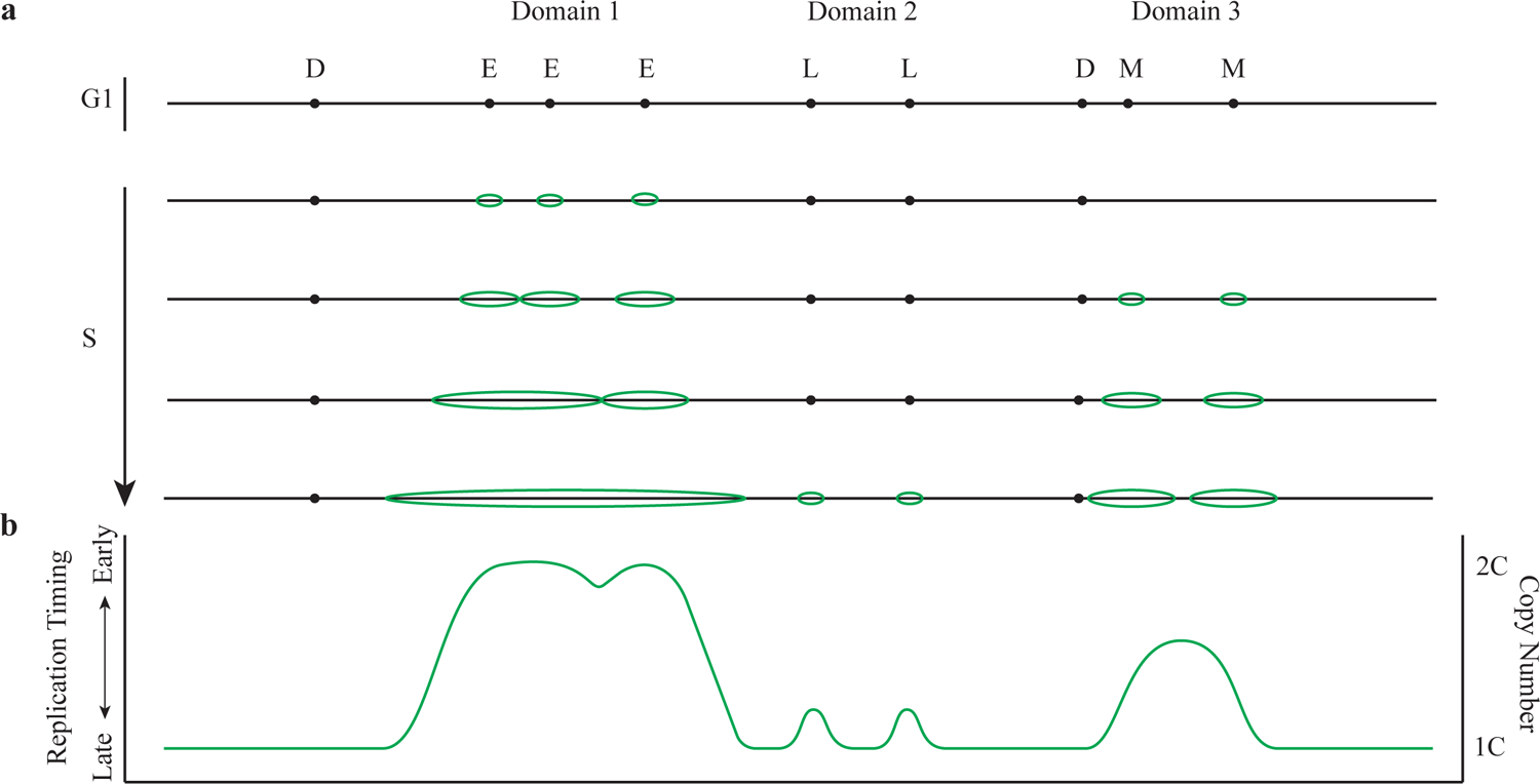 Figure 1 |