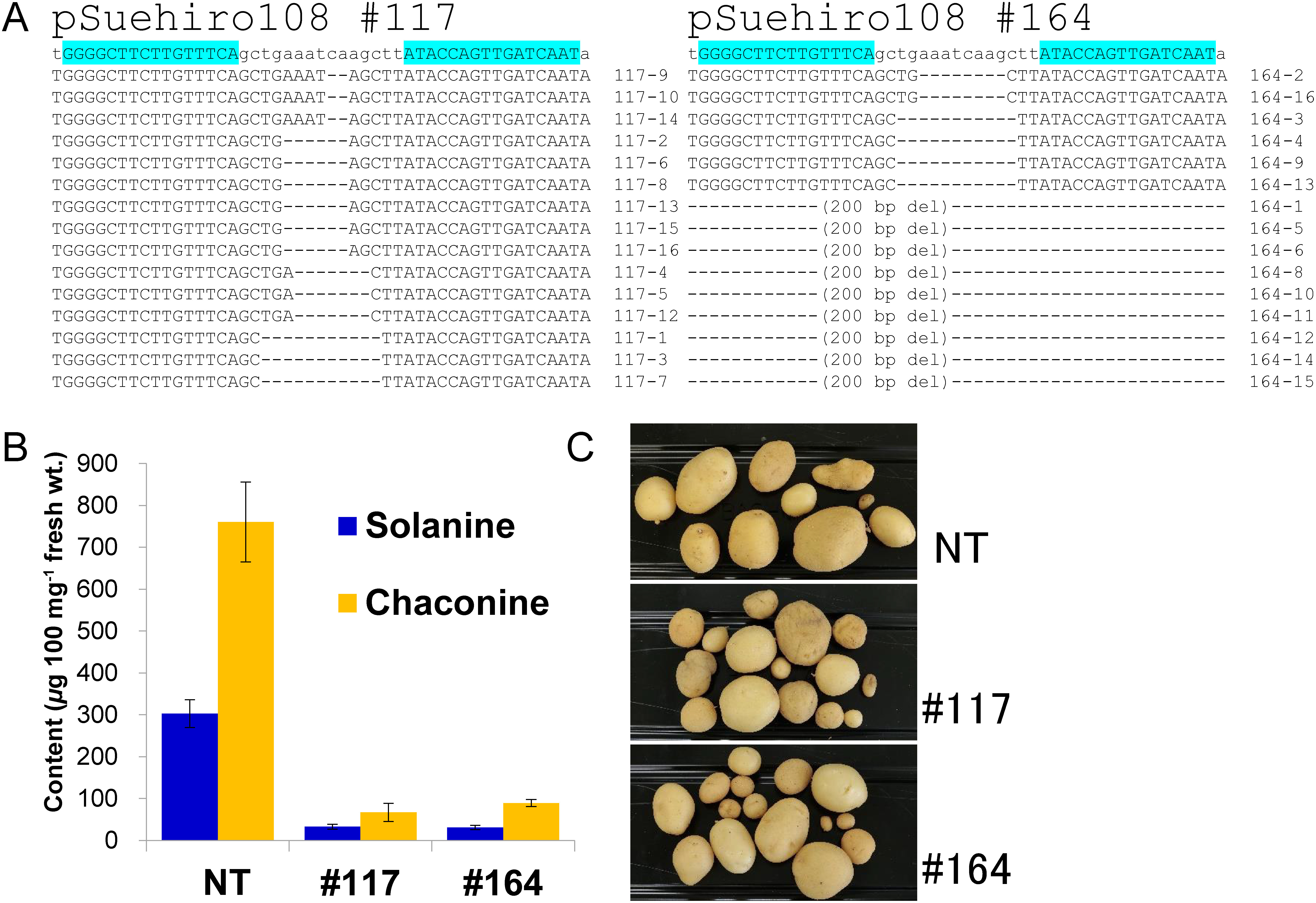 Figure 1. Completely SSR2-disrupted lines from “Sayaka”. (A) Sequence of target site of SSR2 gene was amplified, cloned to E. coli, and sequenced. Pale blue indicates sequence targeted by TALEN. (B) SGA contents of in vitro shoots. Error bars indicate the standard deviation of three technical replicates. (C) Tubers harvested in green house under artificial light.