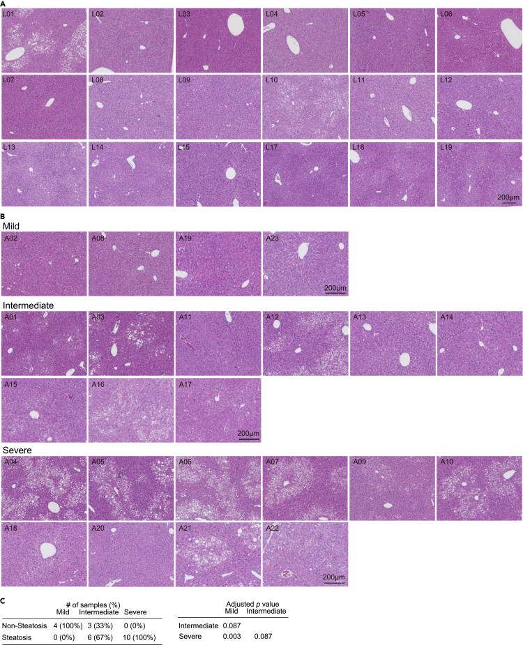 Figure 4