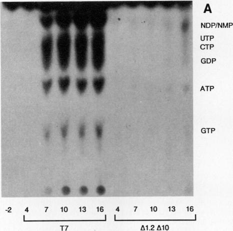 FIG. 2A