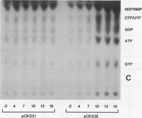 FIG. 4C