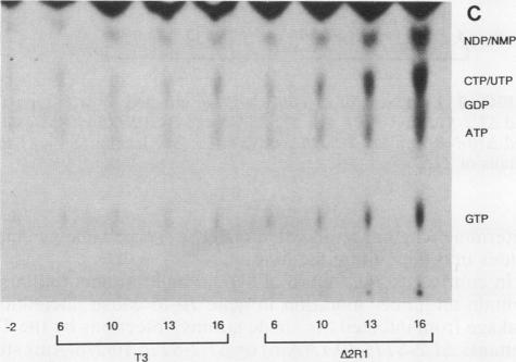 FIG. 1C