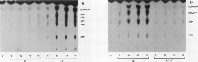 FIG. 1A-1B