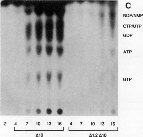 FIG. 2C