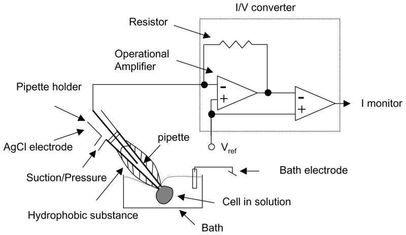 Fig 1