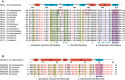 Figure EV3