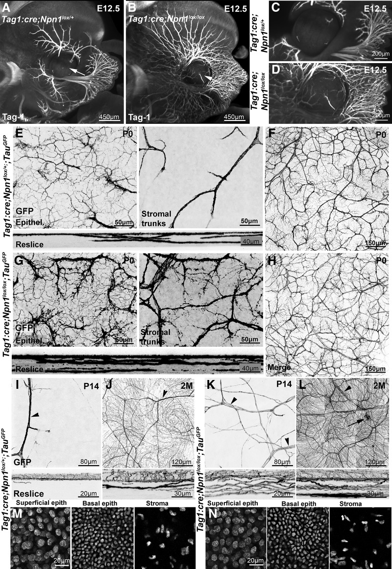 Figure 10.