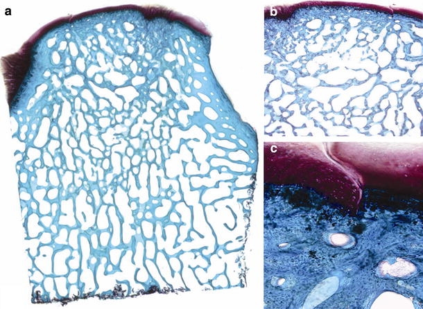 Fig. 4