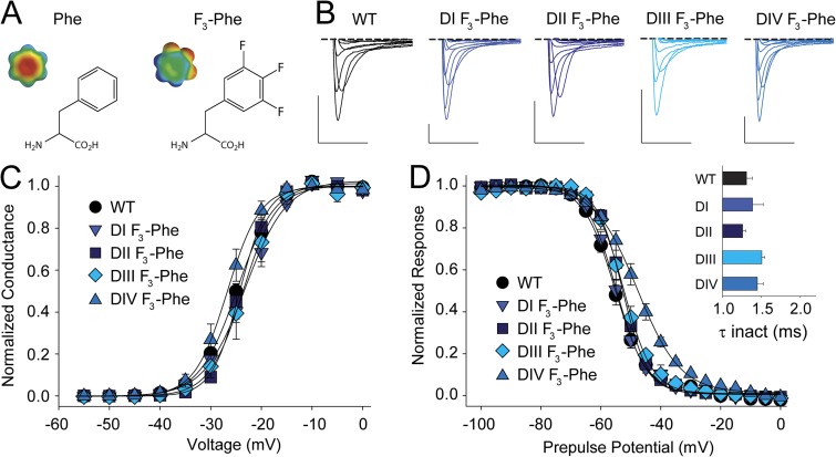 Figure 5.