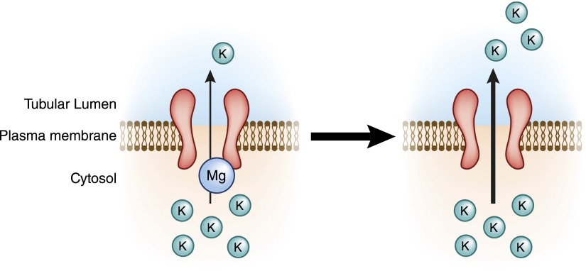 Figure 9.