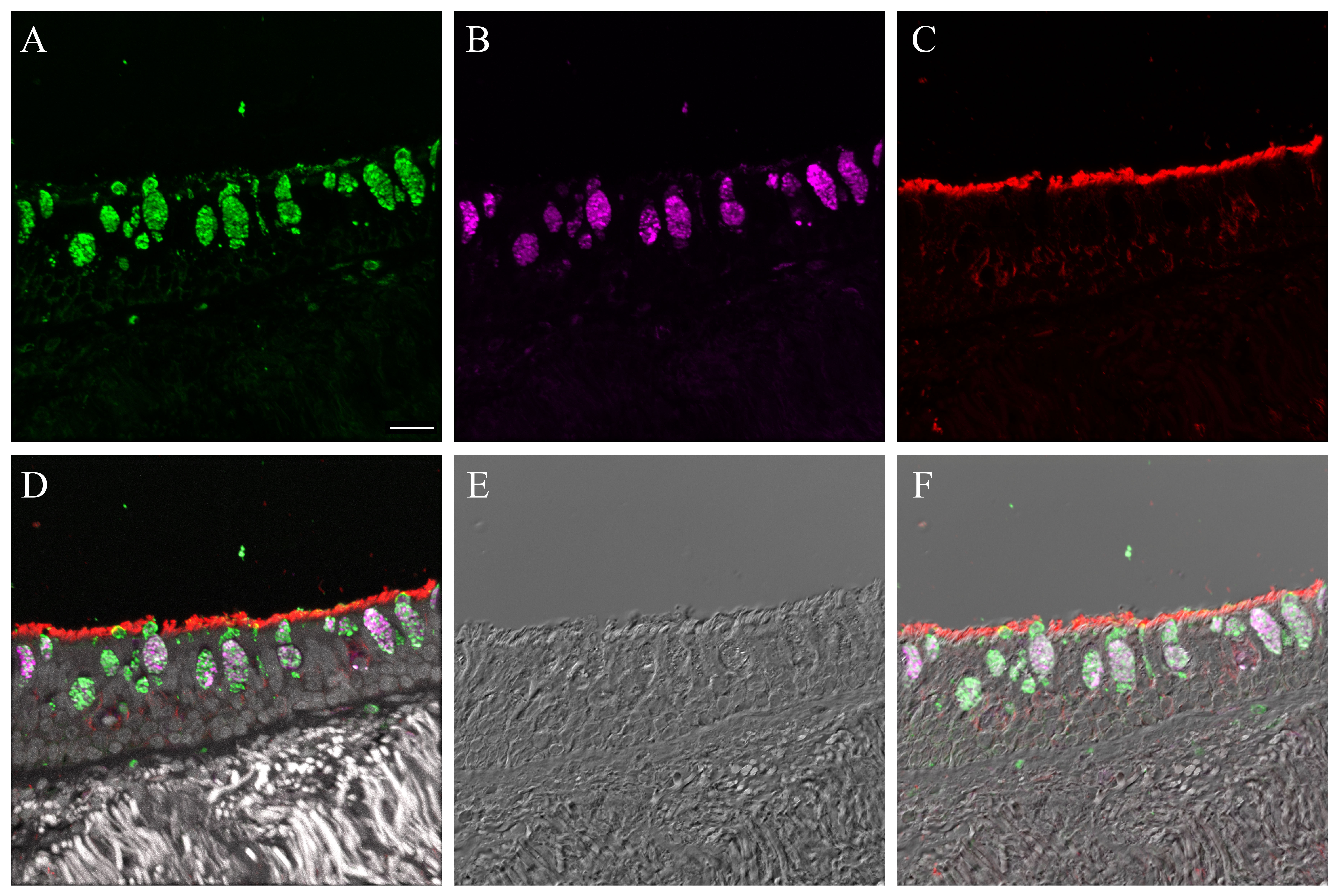 graphic file with name S9_DT_1_SNA_cm.jpg