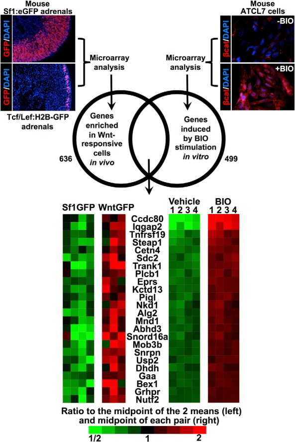 Figure 5.