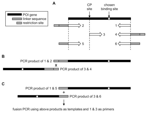 Fig. 4