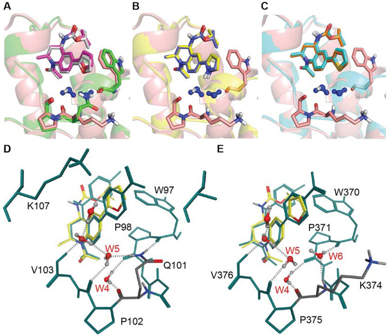 Figure 5.