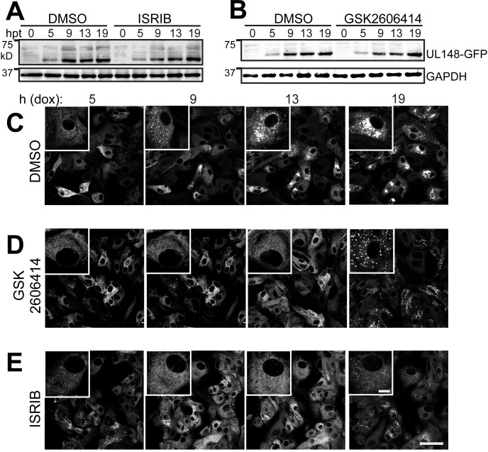 FIG 10