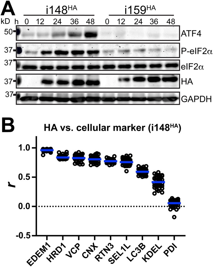 FIG 9