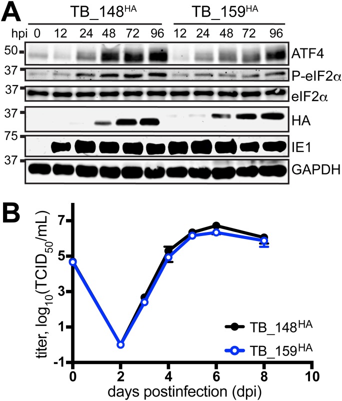 FIG 2