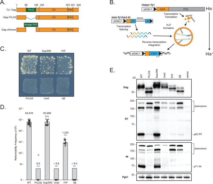 Fig 3.