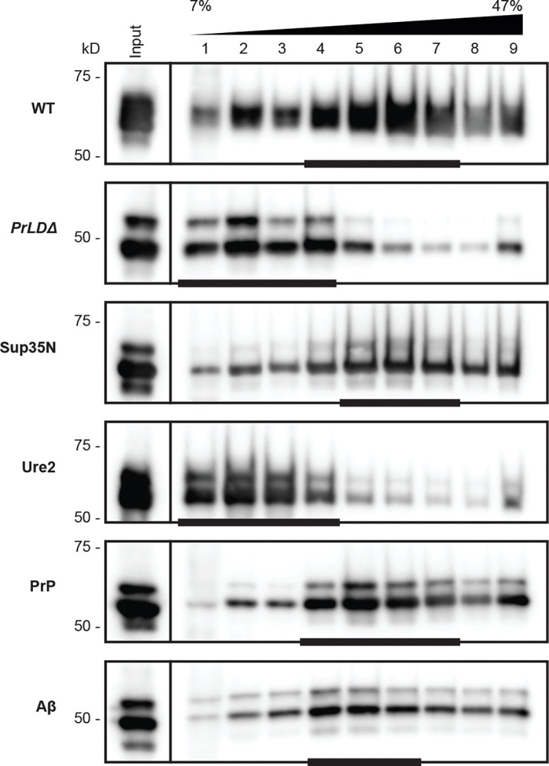 Fig 5.