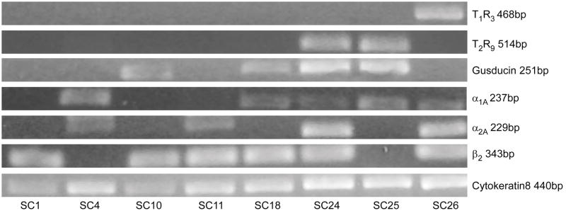 Fig. 8