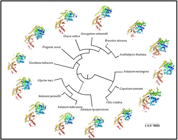 Figure 5