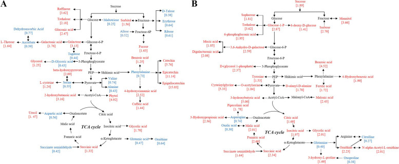 Fig. 6