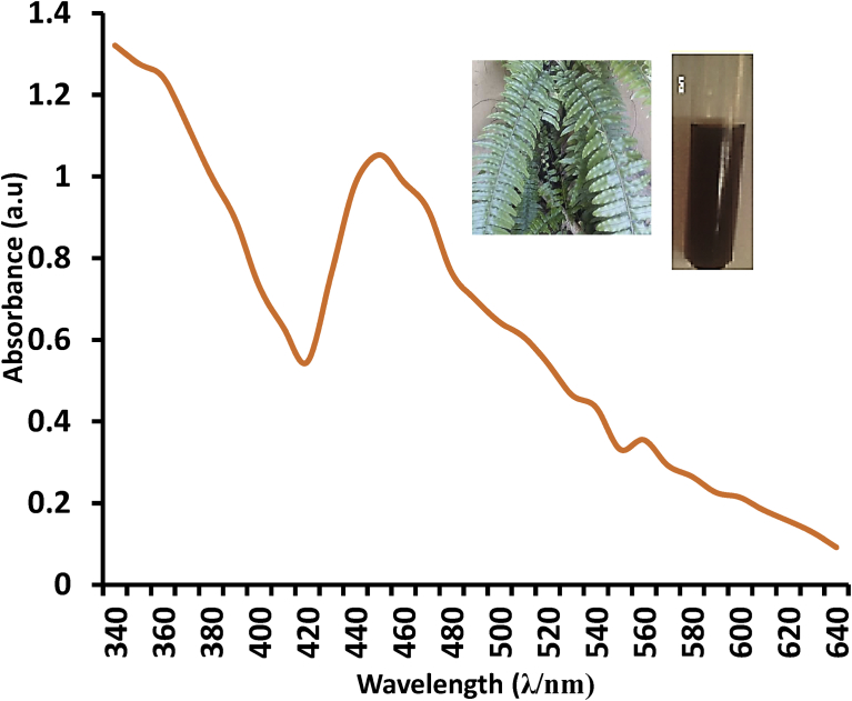 Fig. 3