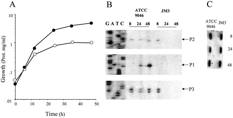 FIG. 2