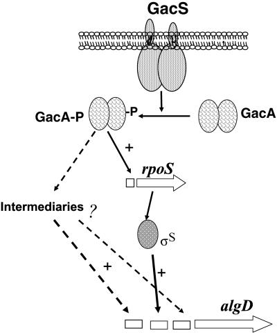 FIG. 5