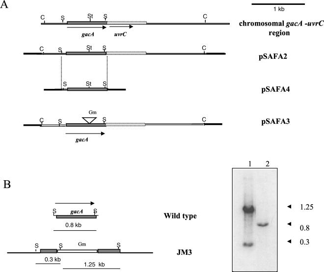 FIG. 1