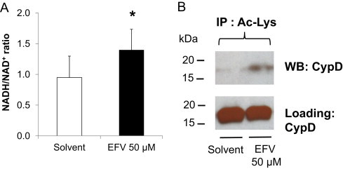 Fig. 8