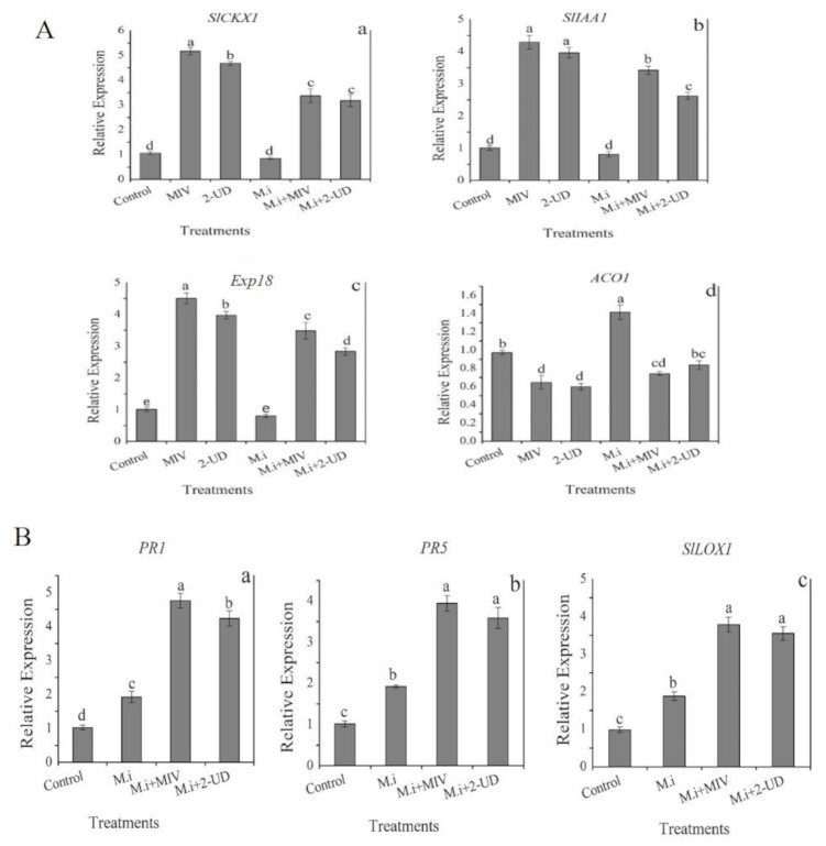 Figure 10