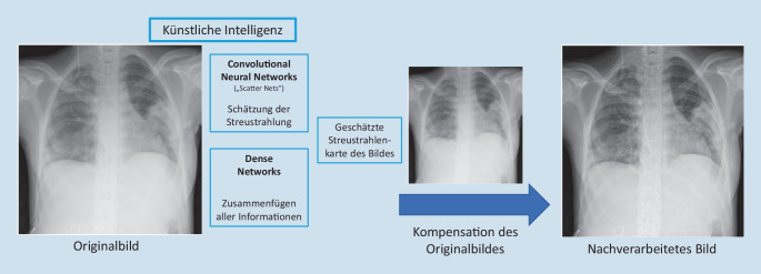 graphic file with name 112_2021_1230_Fig2_HTML.jpg