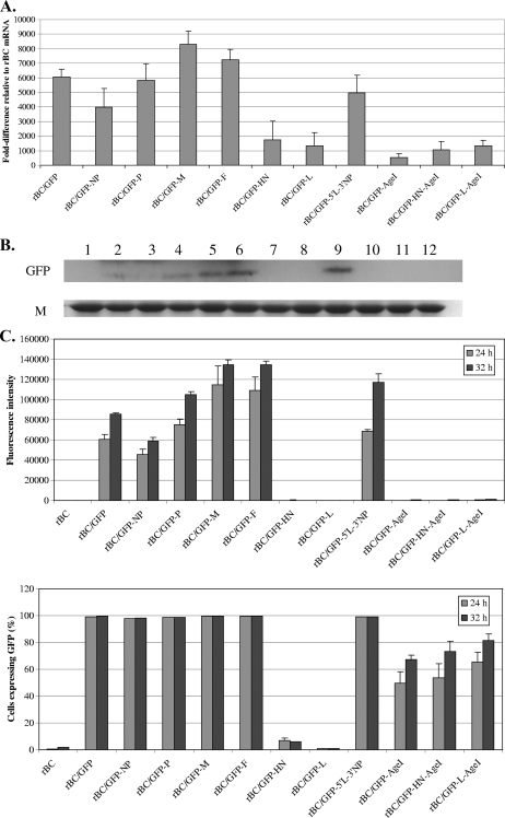 FIG. 2.