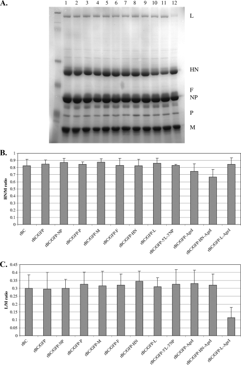 FIG. 3.