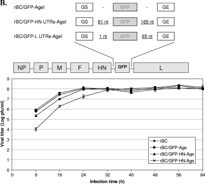 FIG. 1.