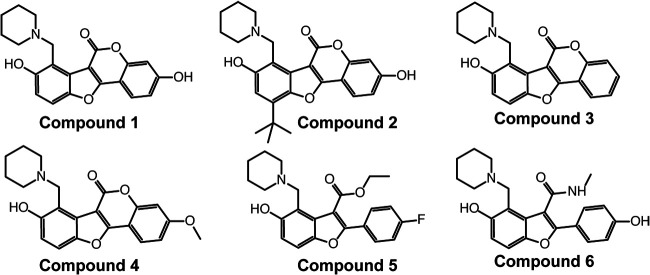 FIG 1