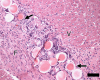 Figure 7c:
