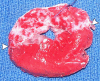 Figure 7a: