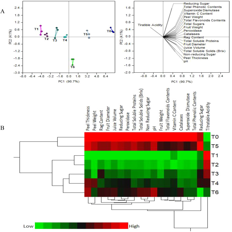 Figure 4