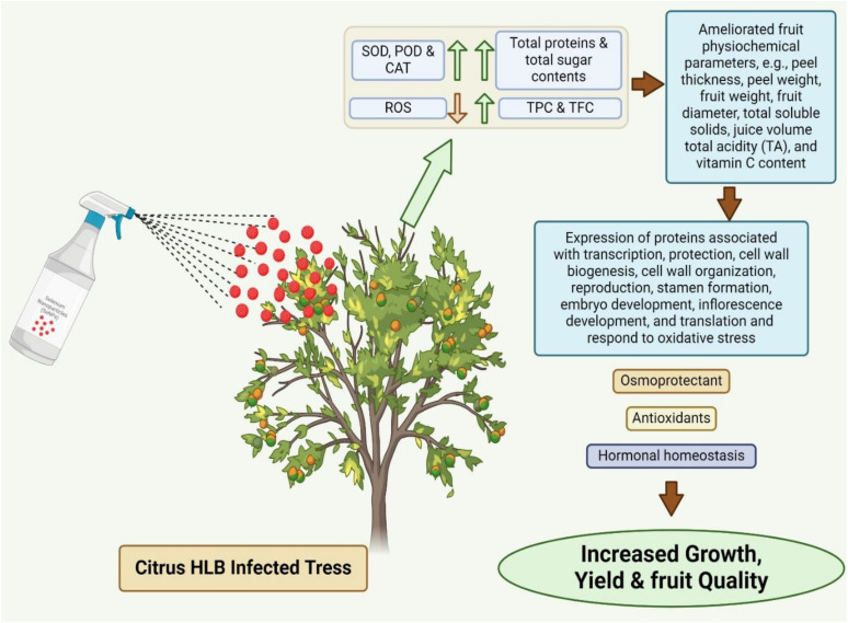 Figure 6