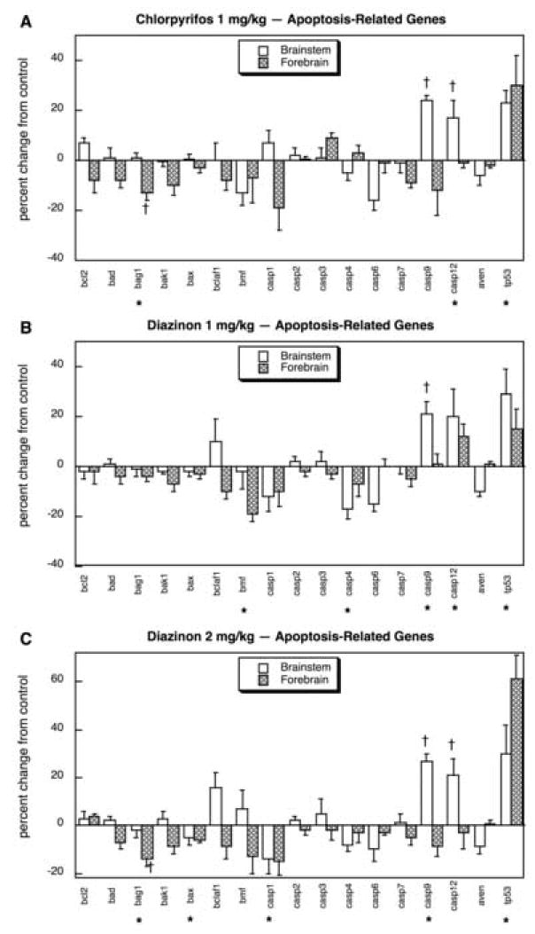 Fig. 11