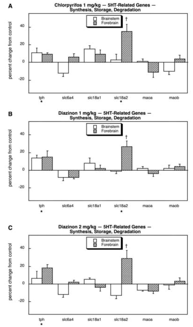 Fig. 19