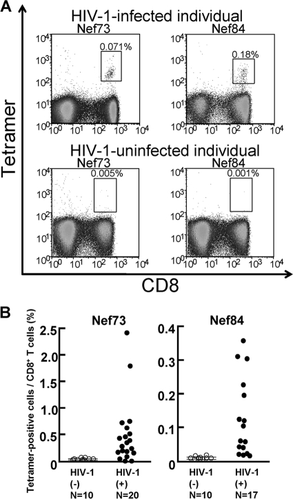 FIG. 3.